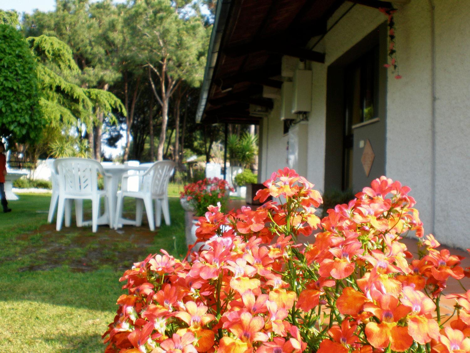 Villa Isabella Marina di Grosseto Kültér fotó