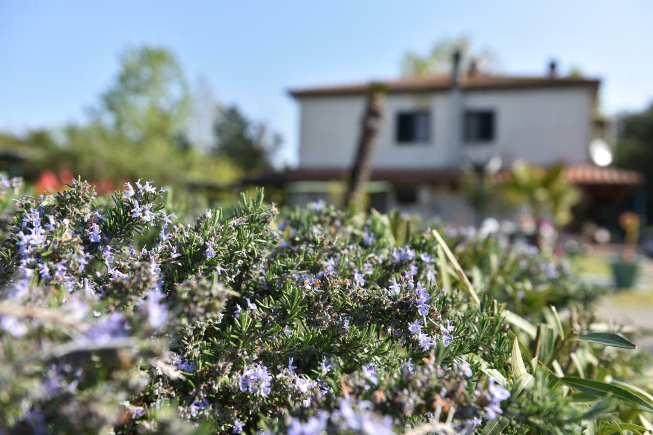 Villa Isabella Marina di Grosseto Kültér fotó